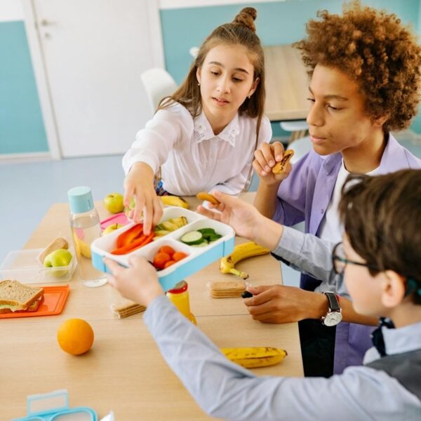 Alimentação Escolar