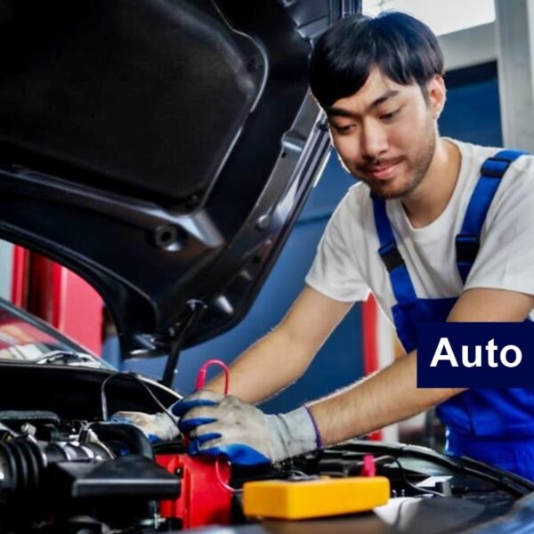 Auto Elétrico